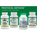 Protocol Detoxin de 30 zile -  DETOXIFICARE COLON, FICAT, RINICHI